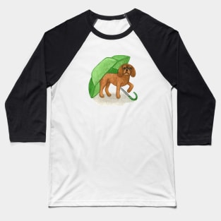 Cavalier King Charles Spaniel - Green Umbrella Ruby Baseball T-Shirt